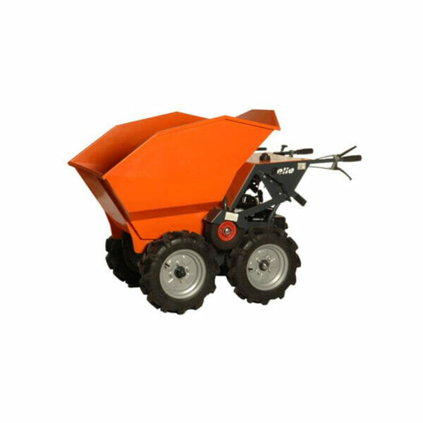 FORMAT-Dumper